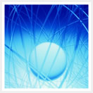 Electronics / Optics