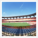 Sports / Entertainment / Amusement