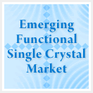 Emerging Functional Single Crystal Market