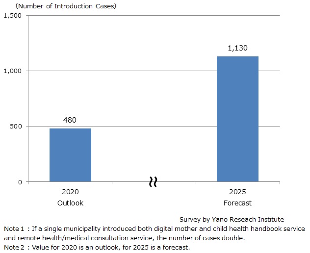 Cases of Digital Mother and Child Health Handbook Service and Remote Health/Medical Consultation Services in Local Governments