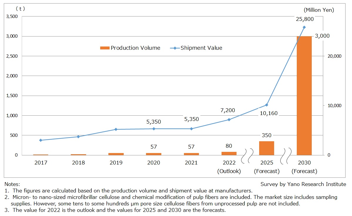 Forecast of Global CNF Market Size