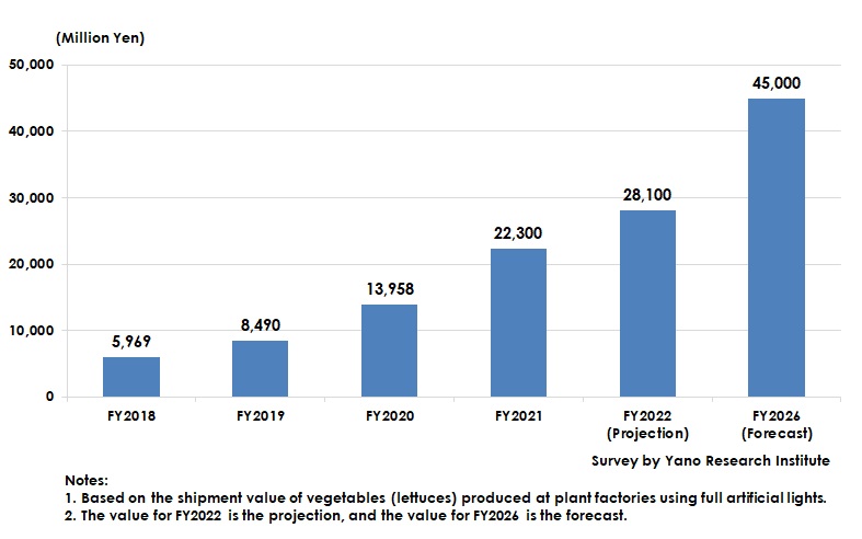 Domestic Operational Market Size Transition and Forecast for Lettuces Grown in Plant Factories Fully Using Artificial Lights