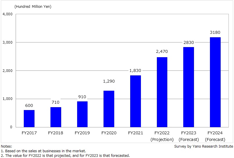 Domestic InsurTech Market Size Transition and Forecast