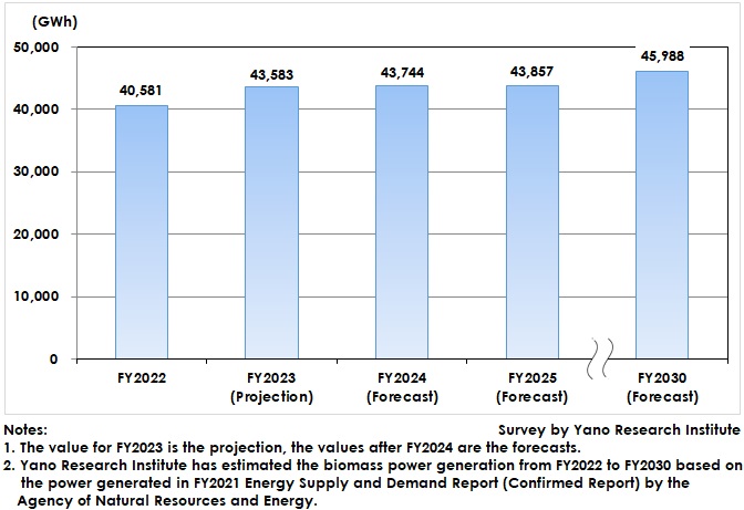 Biomass Energy Market Size Transition and Forecast