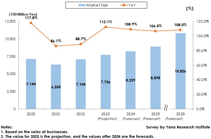 Rental Car Market Size Transition and Forecast in Japan