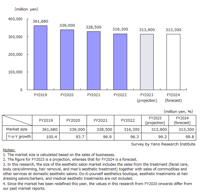 Aesthetic Salon Market Size Transition