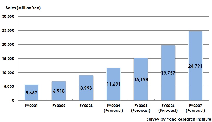 Transition of Size of the eKYC/Public Personal Authentication/Identity Verification Solutions Market