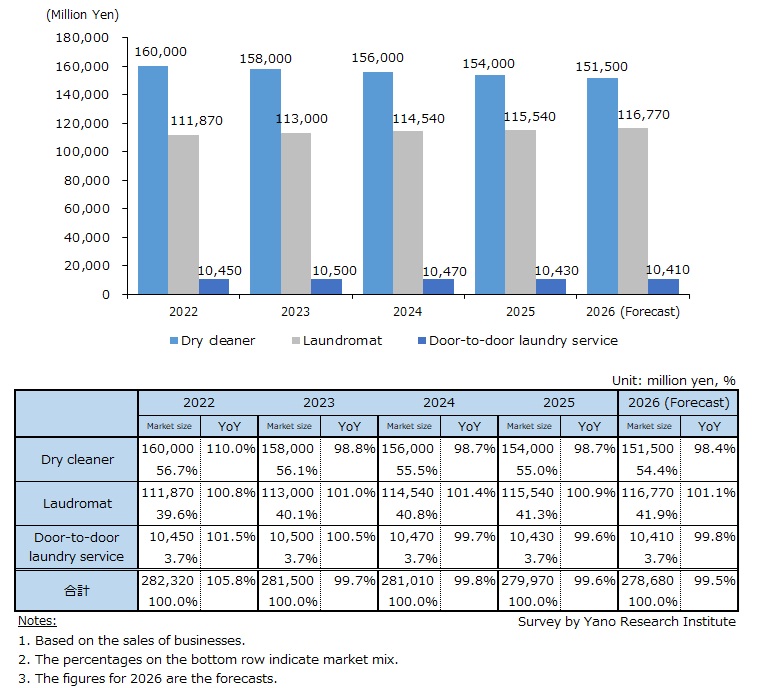 Domestic Laundry Services Market Size (by Segment)