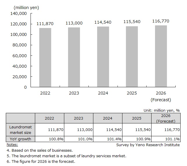 Domestic Laundromat Market Size